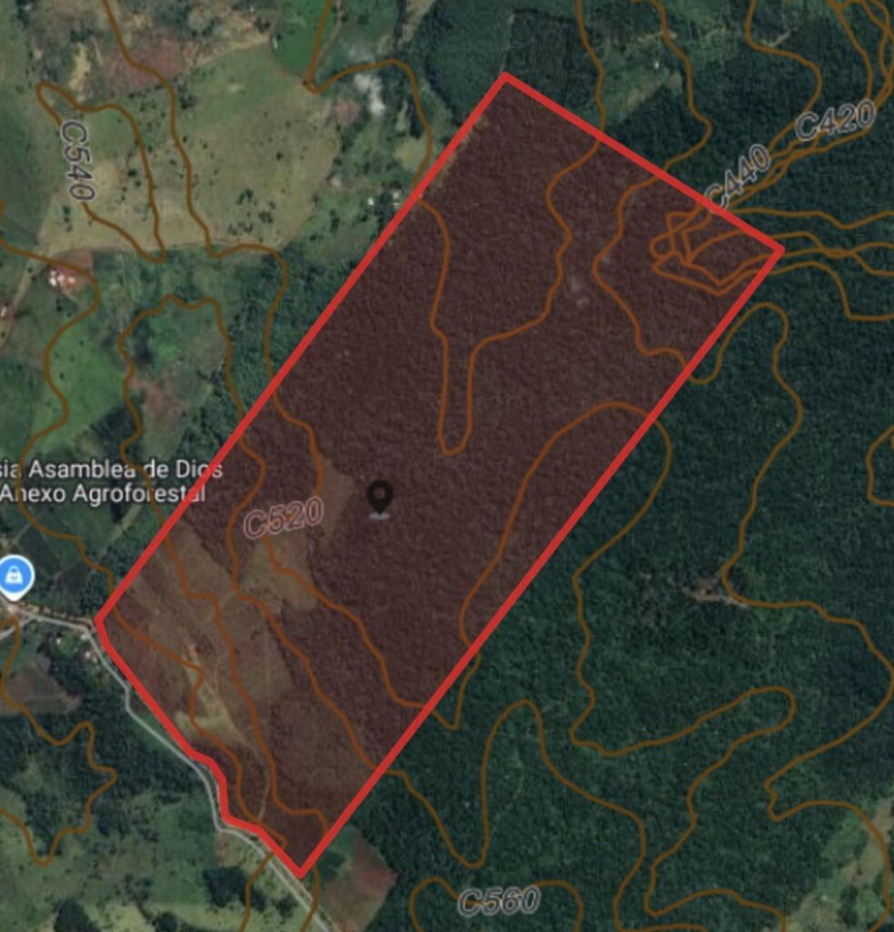 Imagen satelital con los límites de una chacra marcados, en Misiones