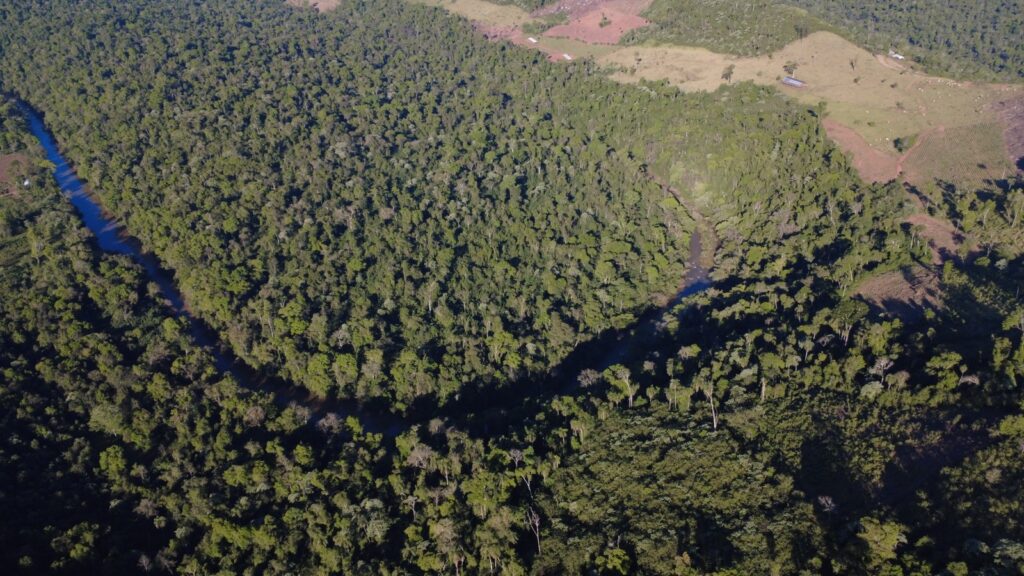 Vista aérea de una chacra con monte nativo y áreas abiertas en Misiones