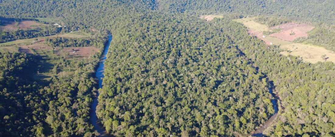 Cómo vender tu chacra en Misiones en 4 pasos